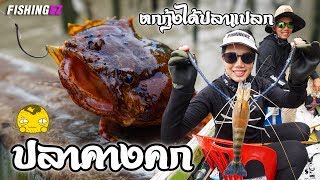 กรี๊ดลั่นแม่น้ำ... ตกกุ้งแต่ได้ ปลาคางคก!!!   FISHINGEZ