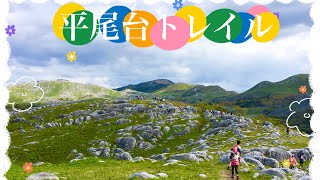 【北九州トレイルラン】平尾台トレイルレース/Trail race in Kitakyushu Hiraodai