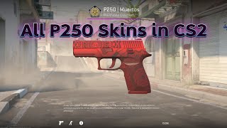 All P250 Skins in CS2 (No Sound)