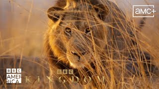 Kingdom | Official Trailer | Premieres January 24 on BBC America