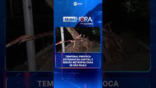 Temporal provoca estragos na capital e região metropolitana de São Paulo