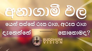 🙏 අනාගාමී ඵලයෙන් පස්සේ රූප රාග, අරූප රාග දැනෙන්නේ කොහොමද?