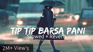 Tip Tip Barsa Pani (Slowed & Reverbed) | Mohra | Alka Yagnik & Udit Narayan | MrMelody