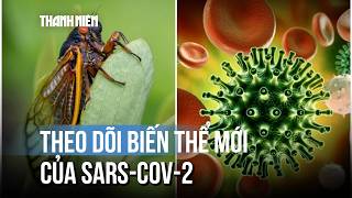 Biến thể Covid-19 ve sầu lan ra nhiều nước, Bộ Y tế lên tiếng