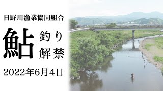 2022年6月4日　鮎釣り解禁　｜　日野川漁業協同組合