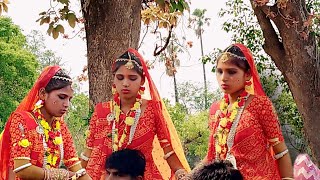 Aadivasi Simoda Dance !! ગામ જામલી (વ) લગન !!‌ Adivasi New Timali Dance Vagudan jamali Dulhan Dance