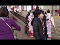 京都、祇園四条を歩く舞妓さん。伝統行事に参加される際の美しい振袖の着物と帯。 祇園伝統行事より