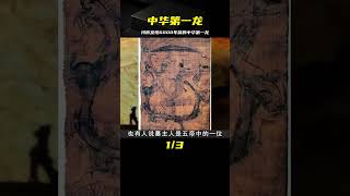 河南挖出中華第一龍，距今6000多年，專家：古人見過或真實存在 #鉴证史者 #古董 #開棺 #古墓 #考古發現