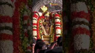 ஸ்ரீ ஏகாம்பரநாதர் கோயில் பங்குனி உற்சவம் திருவிழா காஞ்சிபுரம் கொடியேற்றம்