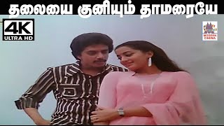 Thalaiyai Kuniyum  இசைஞானி இசையில்  SPB, S.ராஜேஸ்வரி பாடிய பாடல் தலையை குனியும் தாமரையே