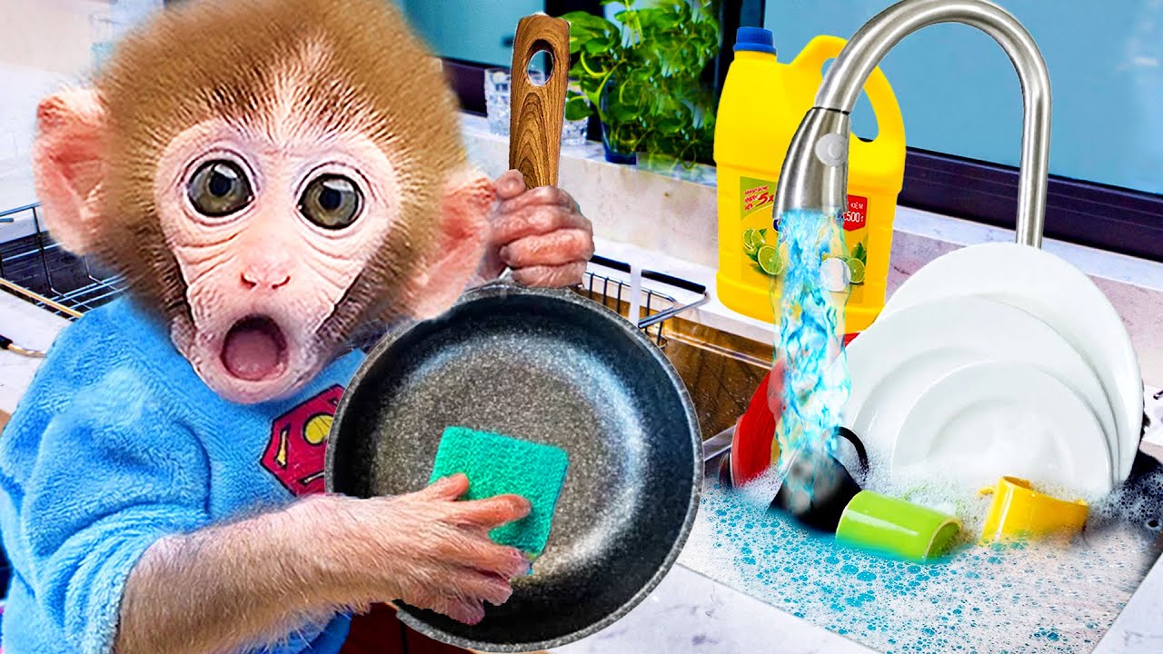 Baby Monkey Bi Bon Cooking Salad Egg Washes Dishes In The Kitchen