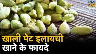 Sanjeevani Tips: खाली पेट इलायची खाने के फायदे