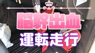 第四章、脳幹出血、右片麻痺、運転走行、発症1年8か月頃