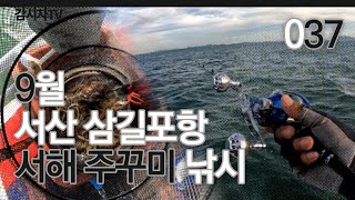 037 / 서해 쭈꾸미 낚시 - 9월 3일 삼길포항 뉴항구호 출조 조금 / 서해, 서산, 삼길포항 / イイダコ9月3日韓国ソサンサムギルポ