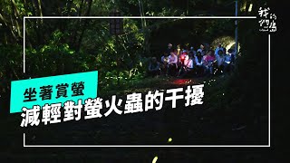 低干擾賞螢｜坐等地上的星星(我們的島 第1268集 2024-08-19)