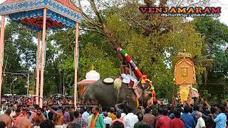 kerala elephant | uttoli anandan mass entry | Ala pooram 2022 #venjamaram