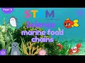 Marine Food Chains | KS1 Science For Kids Year 2 | STEM Home Learning