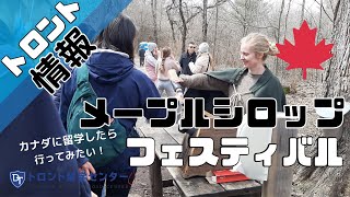 【トロント情報】カナダ留学したら行ってみたい！メープルシロップフェスティバルでカナダ名物を学んでみた！#カナダ留学　#トロント