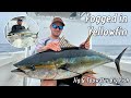 Fogged in Yellowfin | Jig & Topwater Big Fish | July 2024