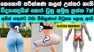 විද්‍යාඥයින් කොර කල පිලිතුරු නැති ප්‍රශ්න | Mysterious things Science Still Can't Explain