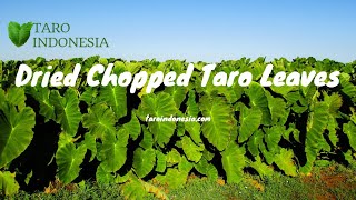 Dried Chopped Taro Leaves