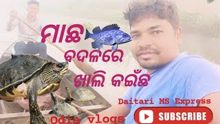 ମାଛ ବଦଳରେ ଖାଲି କଇଁଛ #odisha #Daitari MS Express #vlogsvideo