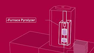 Microplastics Pyrolysis-GC/MS