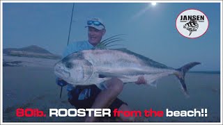 My biggest roosterfish from the beach!!