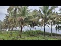 beautiful beach area kerala కేరళ అందాలు కమనీయం కేరళ beautiful nature