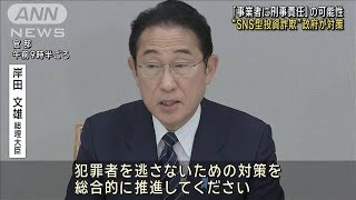 「事業者に刑事責任」の可能性 “SNS型投資詐欺”政府が対策(2024年6月18日)