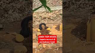 Aneh tapi nyata ada kuburan di rumah #shorts #viralvideo #viralshorts #trendingshorts