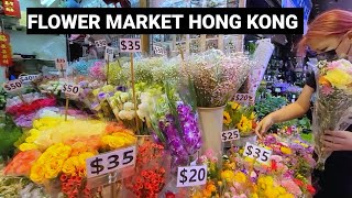 HOW TO GET TO FLOWER MARKET ROAD HONG KONG || FLOWERS SO AFFORDABLE THIS SPRINGTIME || MJtravelover