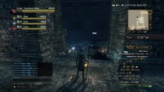 [DDON]フェルヤナ　エピタフ　ポーンPTでリビングPP