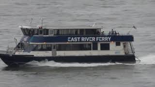 Manhattan view from Brooklyn Bridge #manhattanview #brooklynbridge #boat