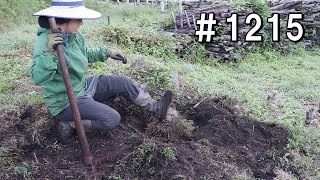 元竹藪整地②｜え…鶴嘴で水道管やっちゃった…？思うように掘れなくてヤキモキ