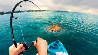 I Caught an Octopus on a Fishing Rod!