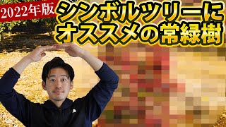 【最新版おすすめランキング4選】考えに考え抜いた2022年おすすめの常緑シンボルツリーはこれだ！