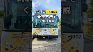 ハワイのTheBusの乗車方法を解説🚌#ハワイ#hawaii #shorts