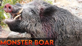 GIANT MOSTER WILD BOAR HUNTING , INCREDIBLE WILD BOAR HUNTING, BEST SCENES - HOG HUNTS PIG HUNTING