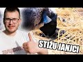 OKOLOKUĆNI POSLOVI #43 - KRČIMO, KOSIMO I SPREMAMO SE ZA PROŠIRENJE IMANJA !! *mnogo novosti*