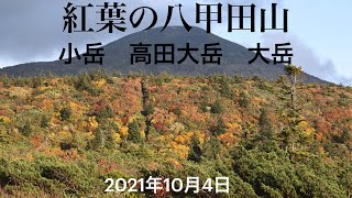 紅葉の八甲田山　小岳　高田大岳　大岳2021年10月4日