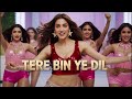 Tere Bin Ye Di | New Item Song | Item Song 2024 | Bollywood Songs | Hits Romantics Songs