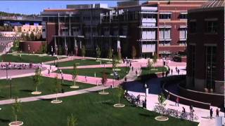 UNR -1