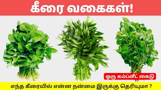 TOP  கீரை வகைகளும் அதன் பயன்களும் | Keerai Vagaigal And Benefits In Tamil | Greens \u0026 Spinach Types