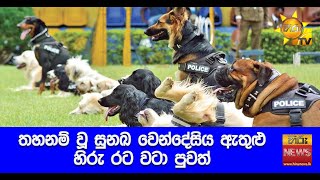 තහනම් වූ සුනඛ වෙන්දේසිය ඇතුළු හිරු රට වටා පුවත් - Hiru News