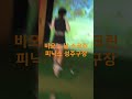 파크골프 미녀파크골퍼 방화영 넘치는 우먼파워 피닉스 스크린 파크 피닉스 파크골프 피닉스파크골프 피닉스골프채