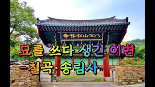 묘를 쓰다 생긴 이변-칠곡·송림사