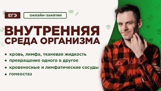 Внутренняя среда организма. Кровь и лимфа | ЕГЭ Биология | Даниил Дарвин