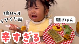 イヤイヤ期120%な朝🙄1歳児とのリアルなご飯の様子😀🍞