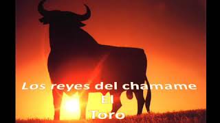 Chamame el toro